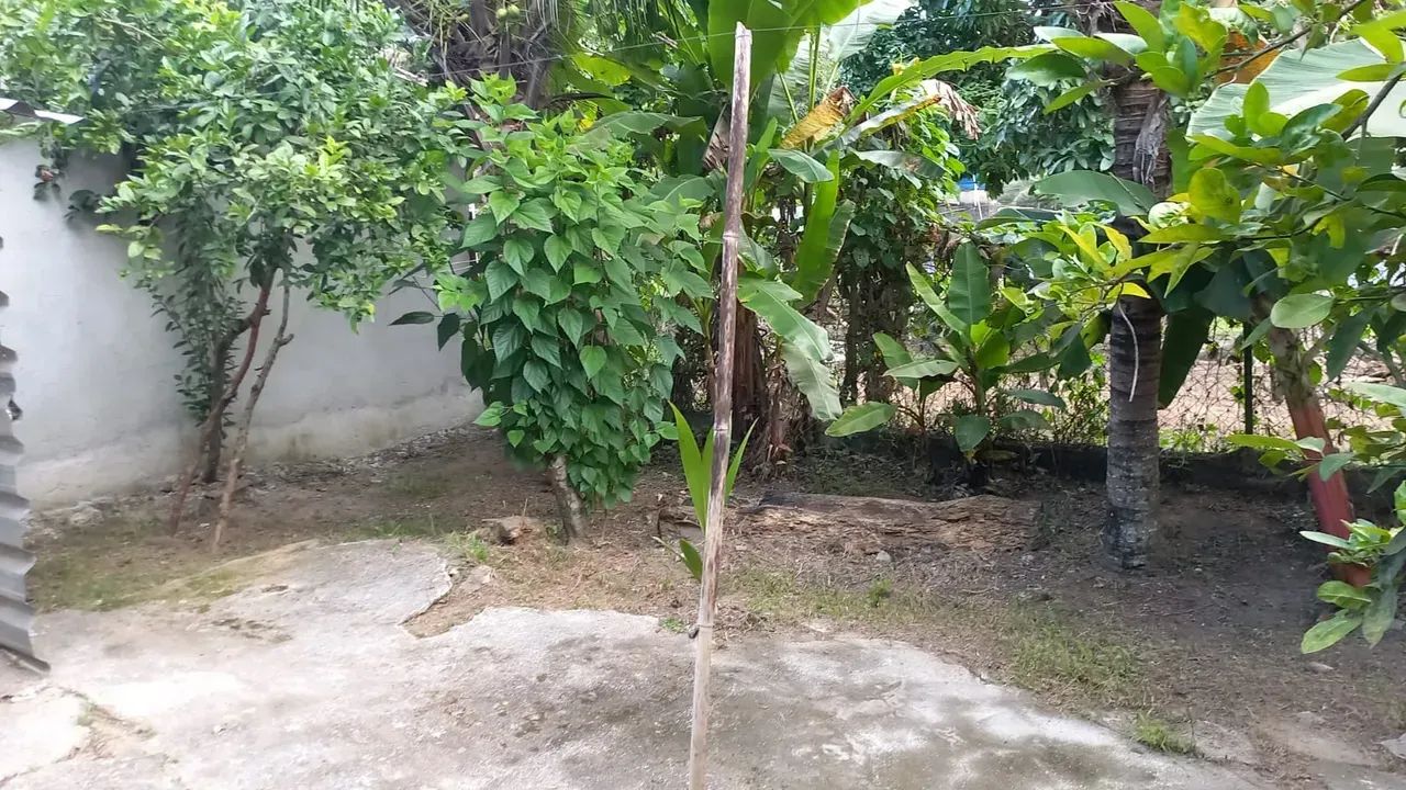 casa linear - Foto 2
