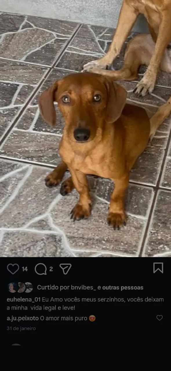 NÃO É DOAÇÃO.  