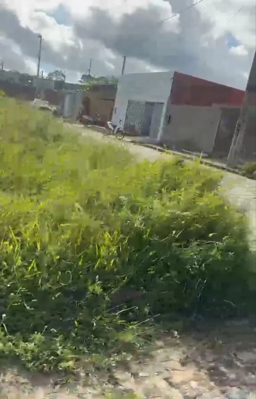 VENDE-SE TERRENO EM INDIAROBA/SE - Foto 3
