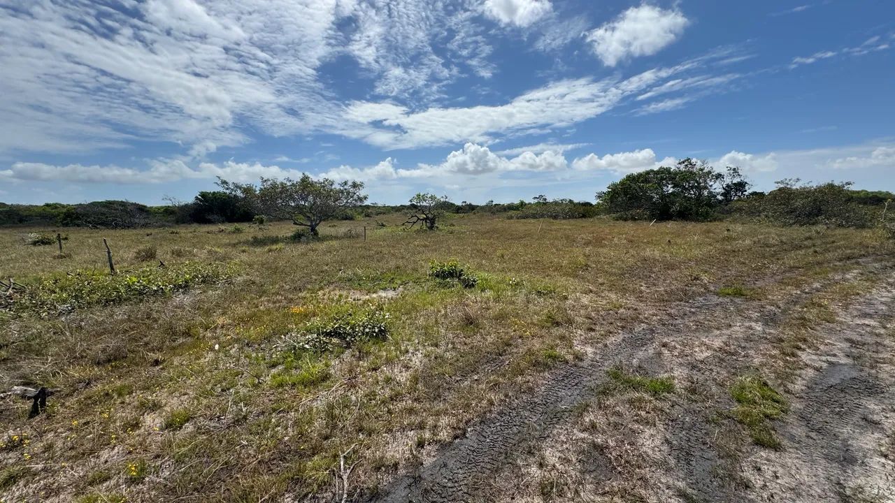 Loteamento em Santo Amaro - Foto 3