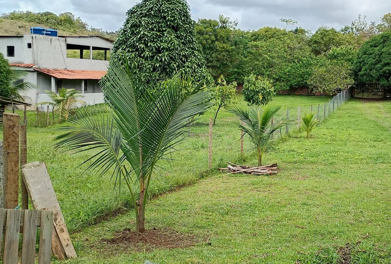 Vendo ou troco Mine sítio  - Foto 3