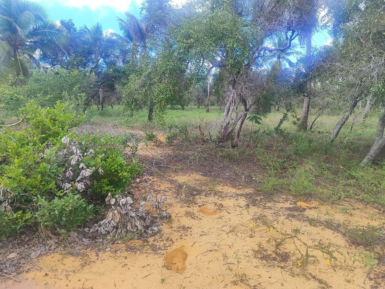 Vendo ou areando excelente terreno - oportunidade de investimento  - Foto 3