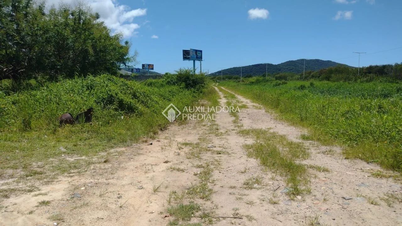 Terreno com 360m2 à venda no bairro Carianos - Florianópolis. - Foto 3