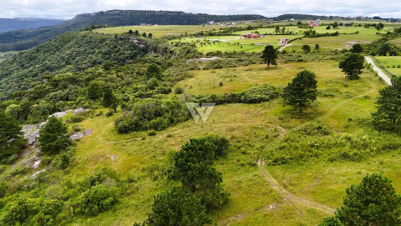 Terreno São Luiz do Purunã - Foto 3