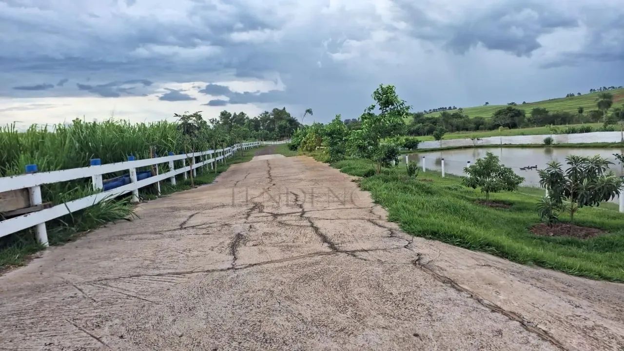 Sítio à venda, 217.000 m2, Zona Rural, IVATE - PR - Foto 4