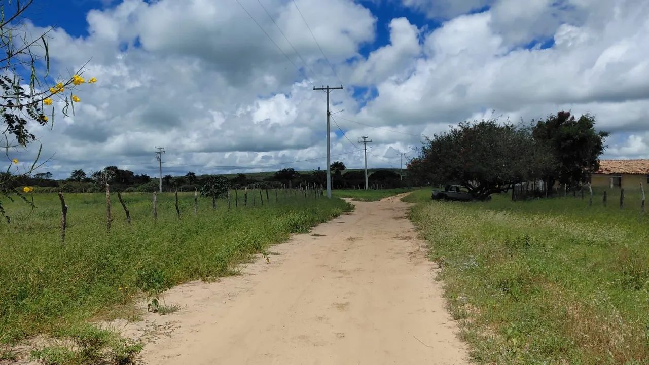 Fazenda em Morro do chapeu - Foto 3
