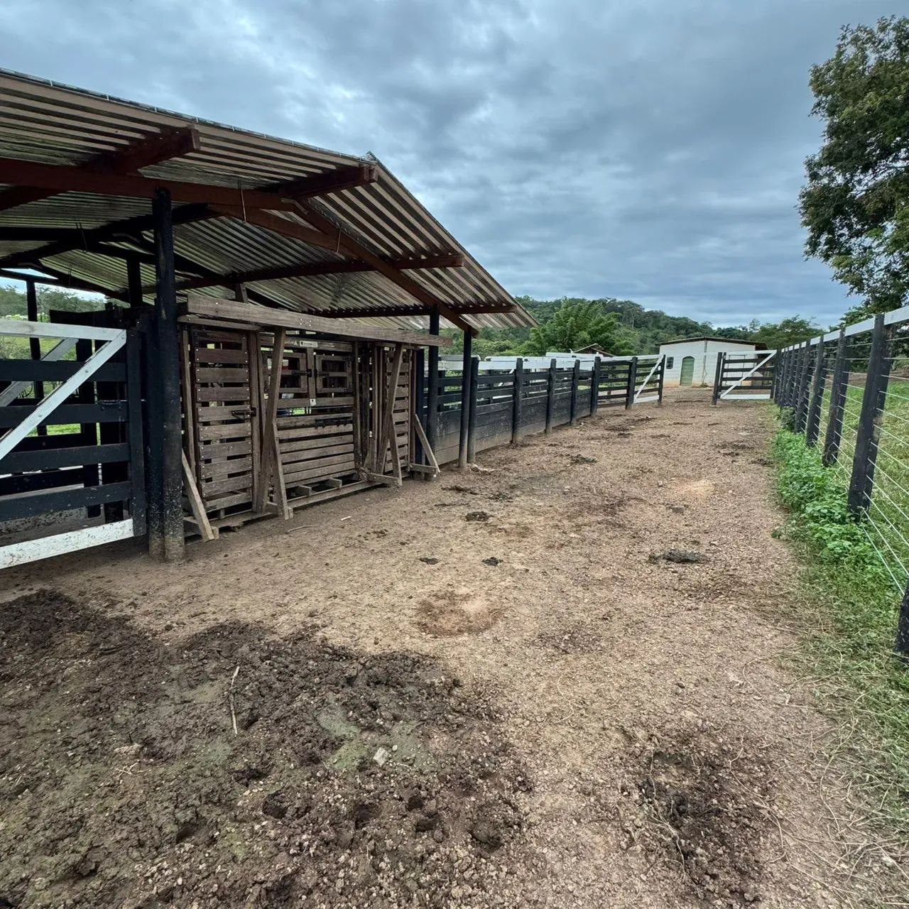 Chácara alto padrão 5 alqueires  - Foto 6