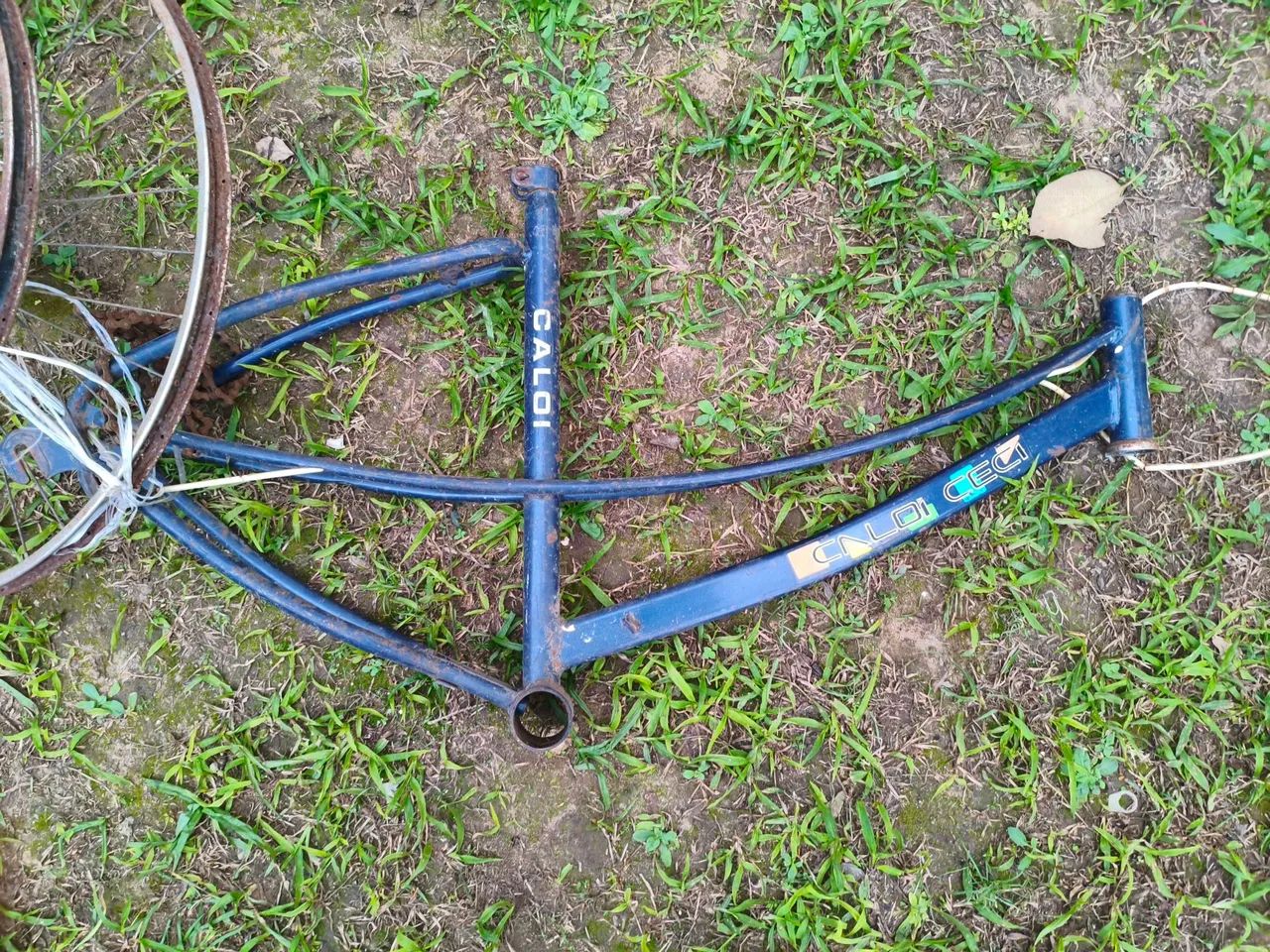 Bicicleta Ceci Bella quadro original 