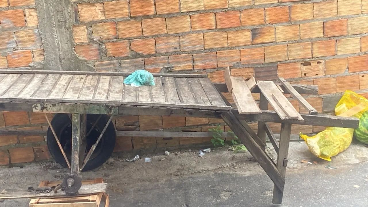 Carrinho de mão 