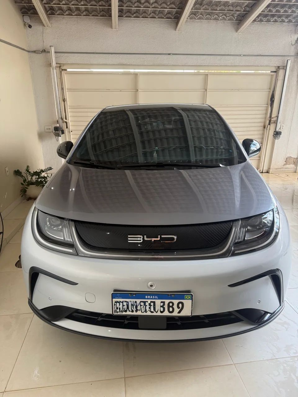 BYD Dolphin Plus (Elétrico) 2024 - Foto 2