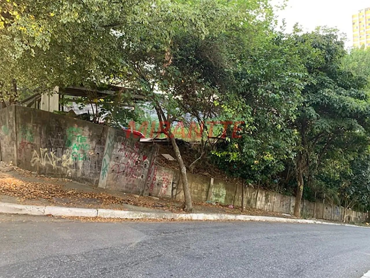 Terreno de 235m² em Sumaré - Foto 3