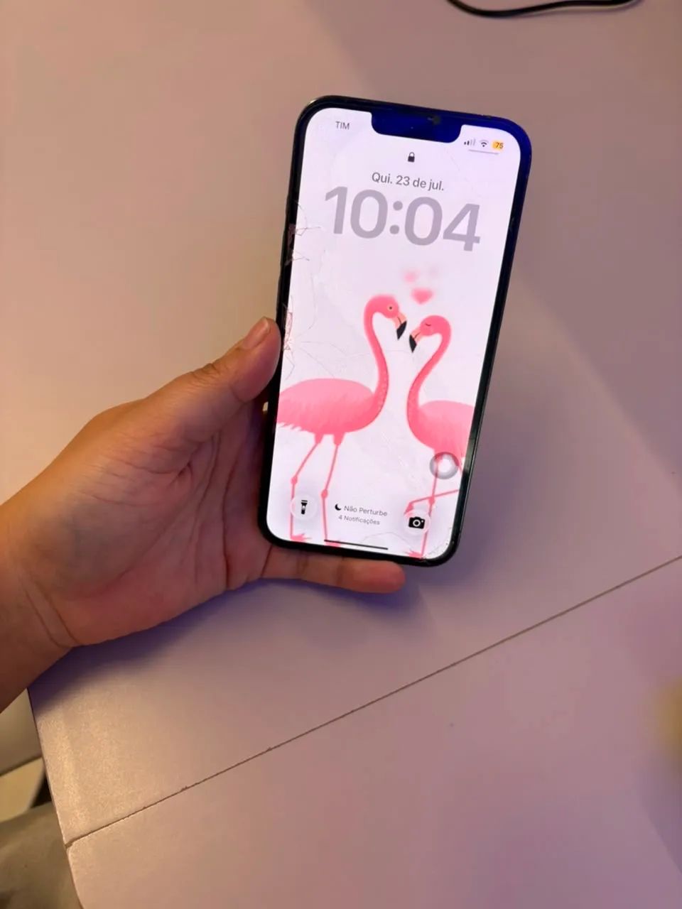 iPhone 13 Pro 