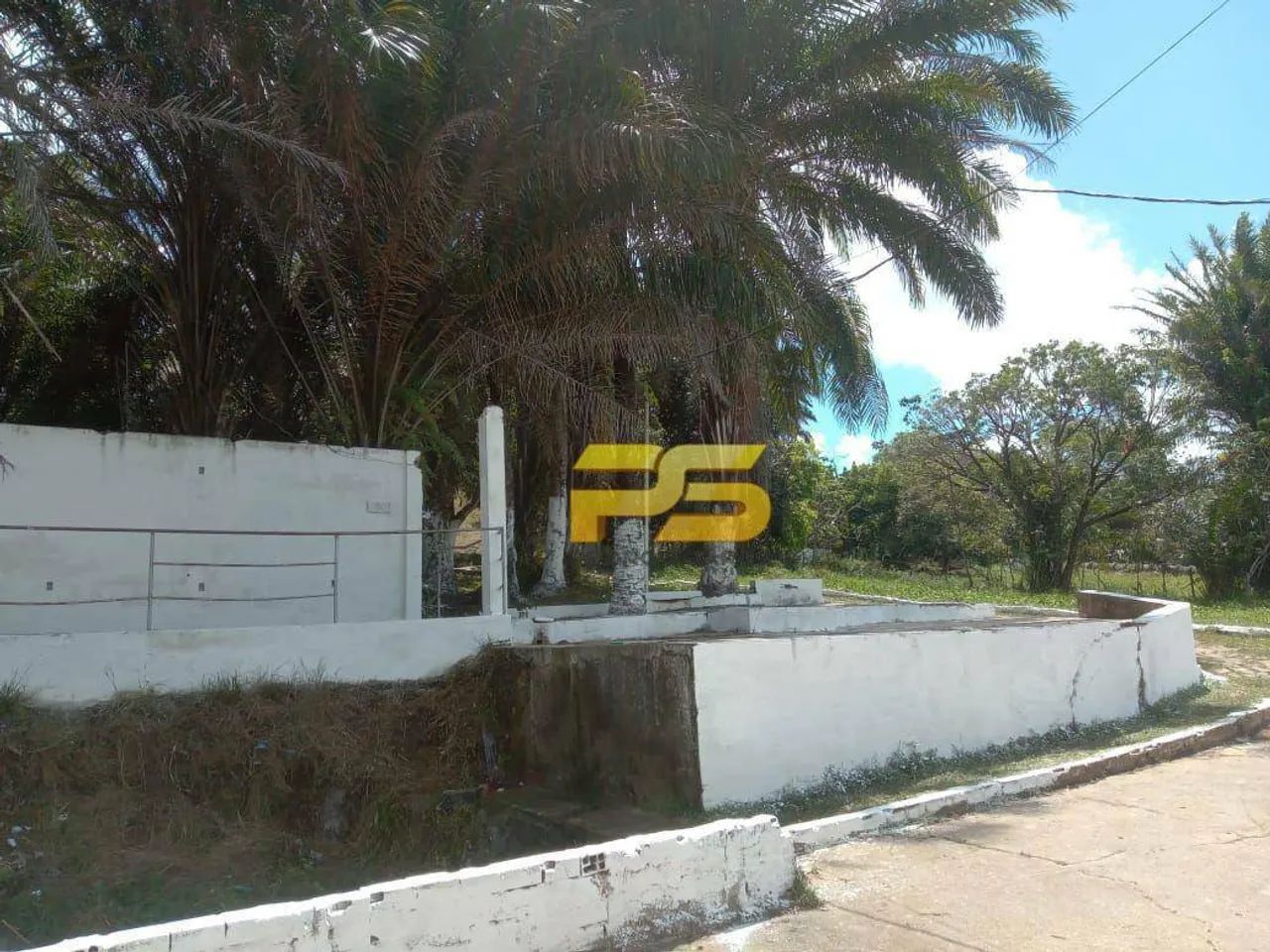 Granja para Locação - Foto 3