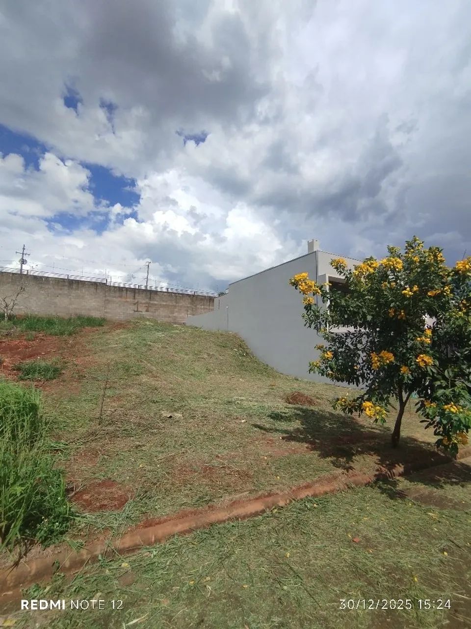 JARDINAGEM  - Foto 4