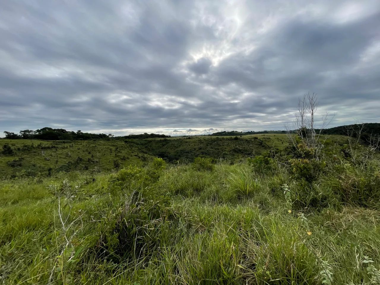 Fazenda em Santa Luiza do Itanhy - Foto 4
