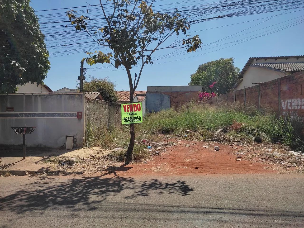 LOTE