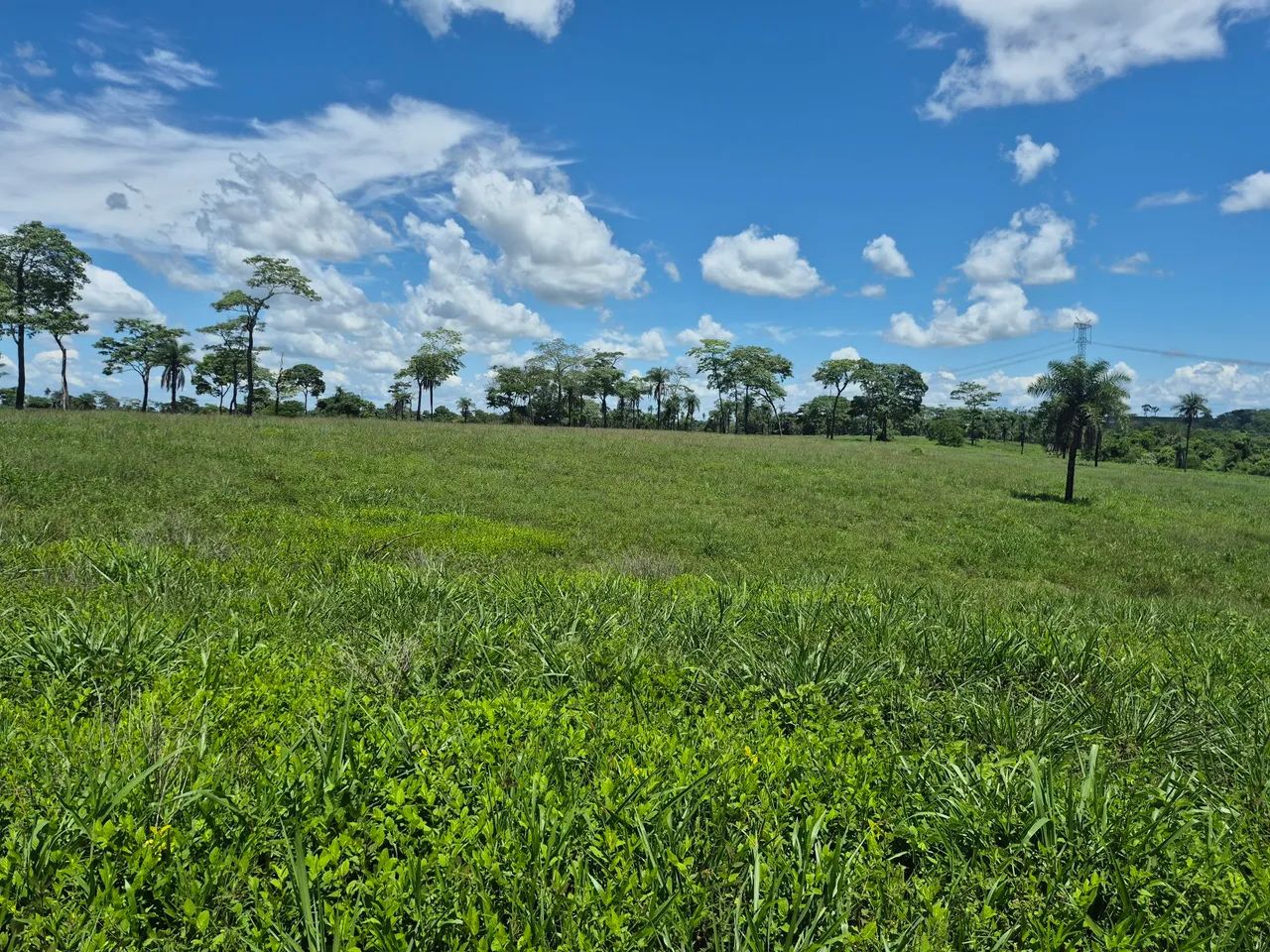  Margem Belém-Brasília! - Foto 3