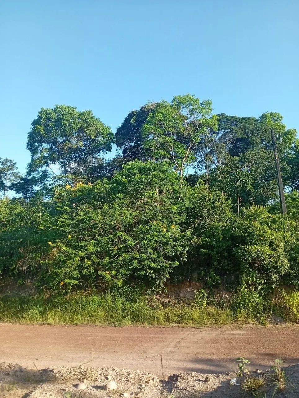 Terreno com olho d'água - Foto 2