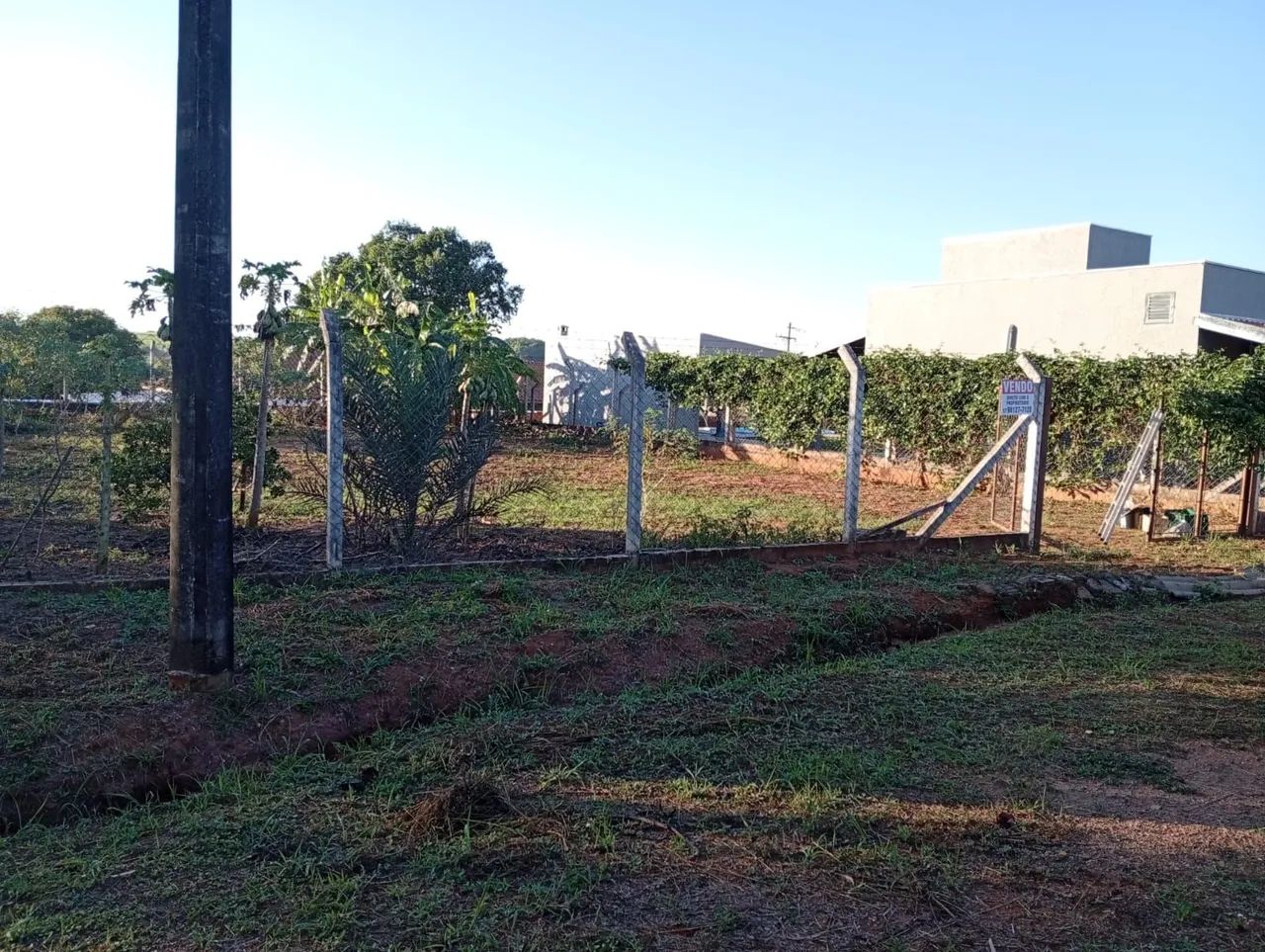 Chácara em Cedeal - Foto 2