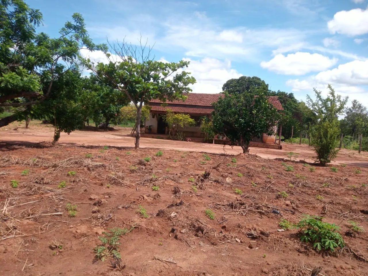 Fazenda para Venda em Paranã, 2 dormitórios, 2 banheiros - Foto 2