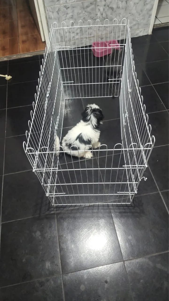 Cercadinhos Pet (grades para cães)  - Foto 5