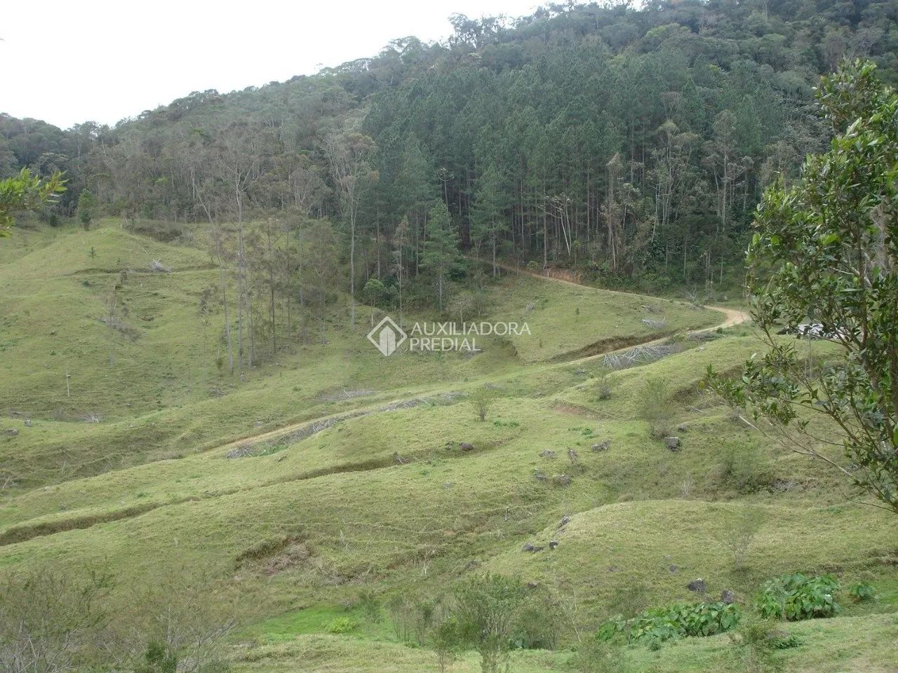 Área rural com 20 ha (20 hectares) em São Pedro de Alcântara - Foto 2
