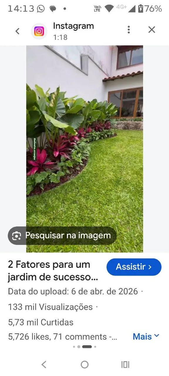 Nova vida capinagem, orto e pouda - Foto 2