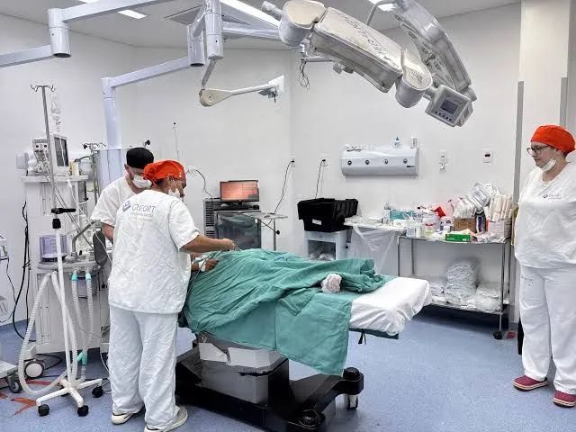 Realização de cirurgias e tratamento médico  - Foto 5