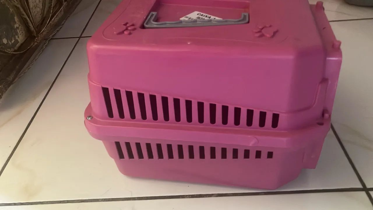 Caixa transporte pet