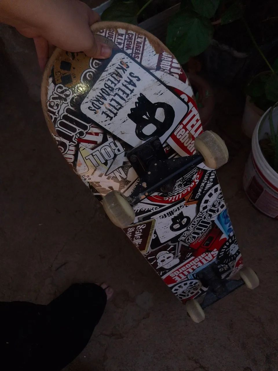 skate - Foto 5