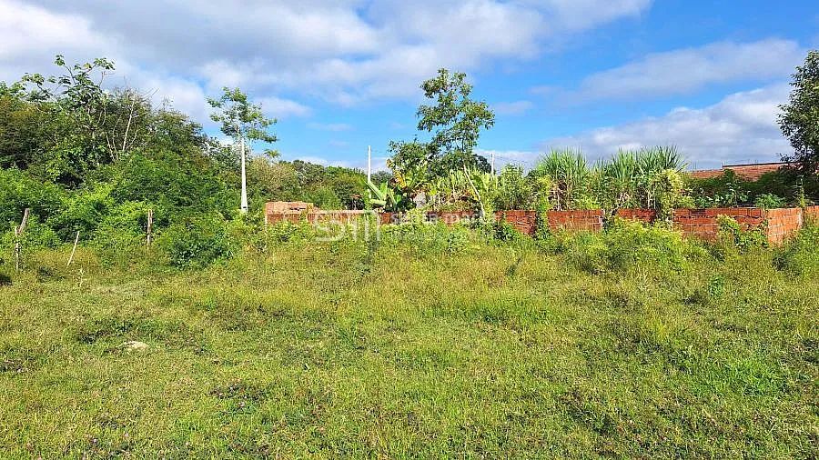 2 TERRENOS DE 8X30m - LOCAL MUITO TRANQUILO - CANAS -SP - Foto 2