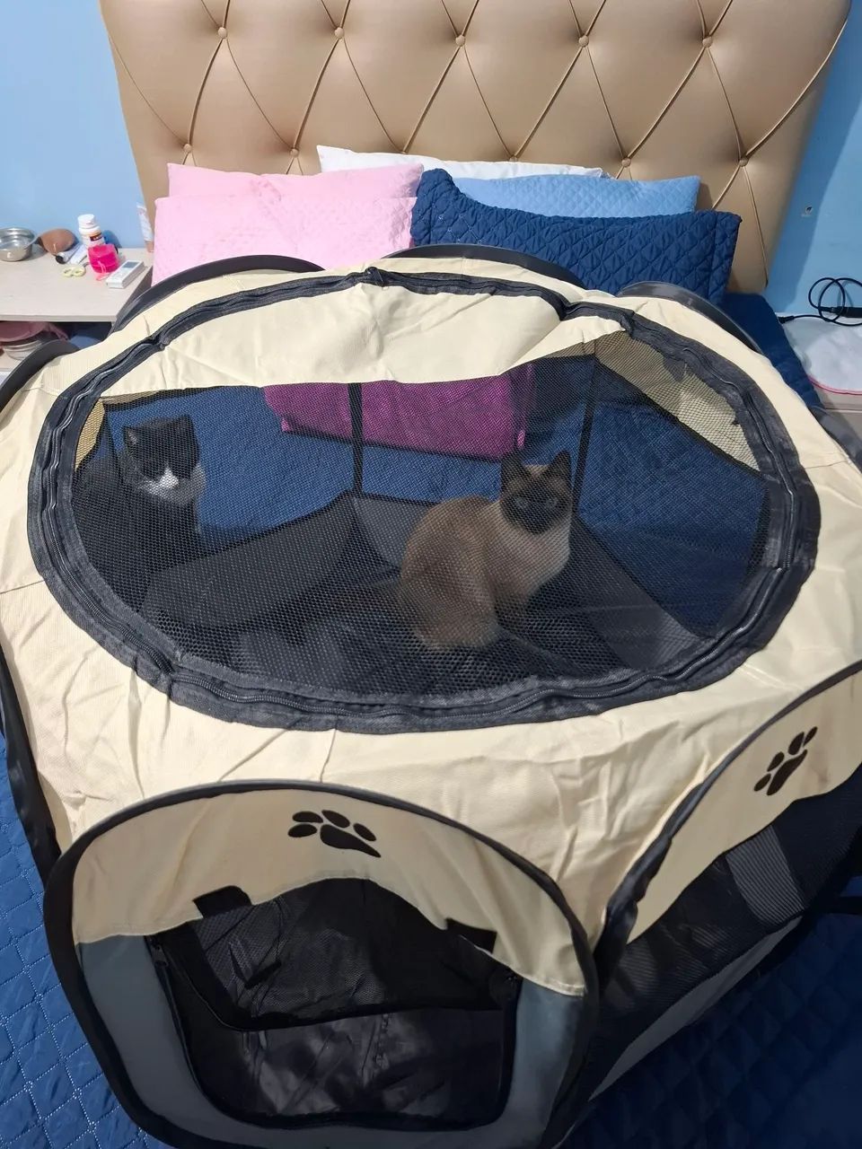 Cercadinho para pets - Foto 4