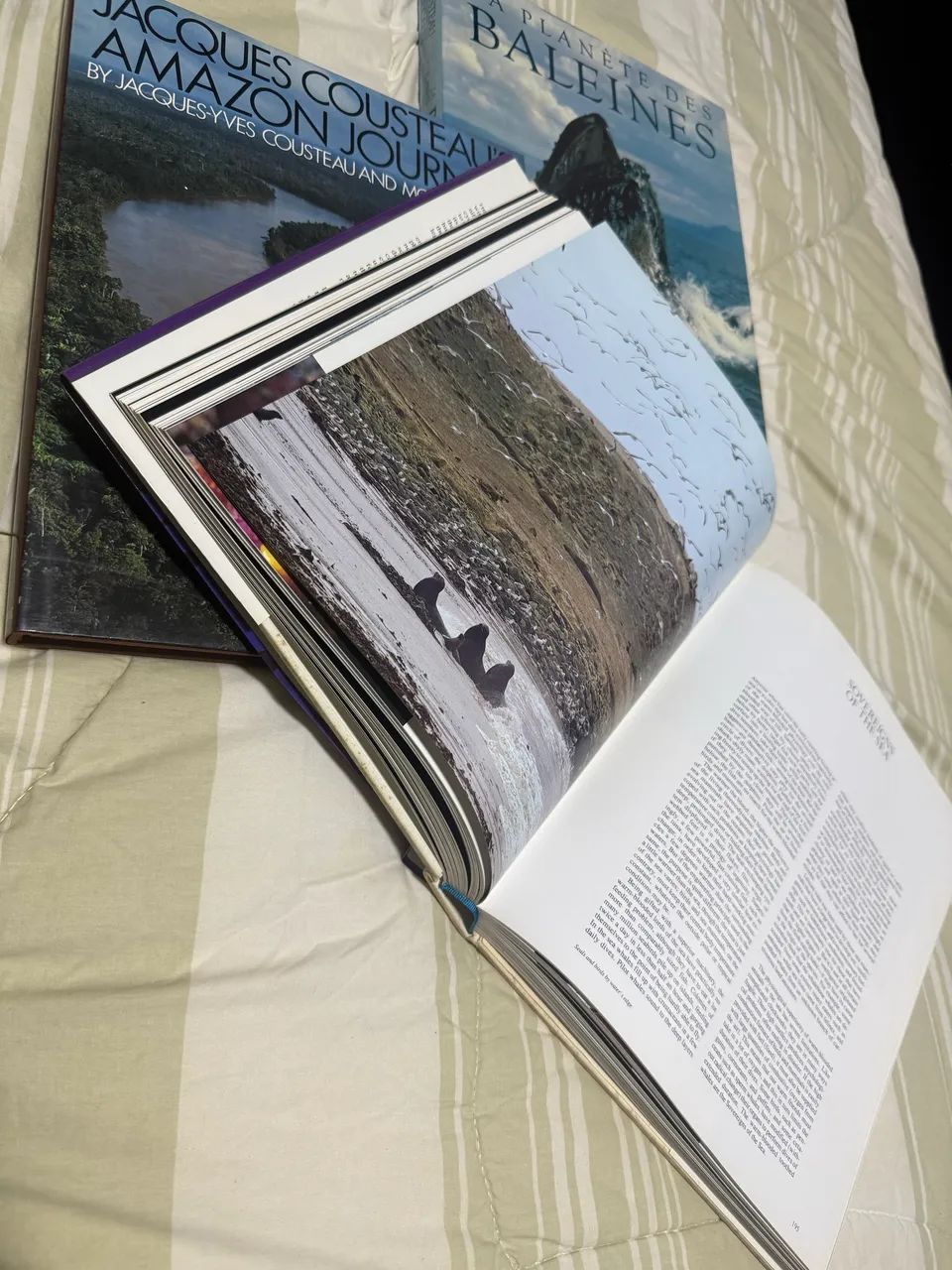 Livros Jacques Cousteau - Foto 3