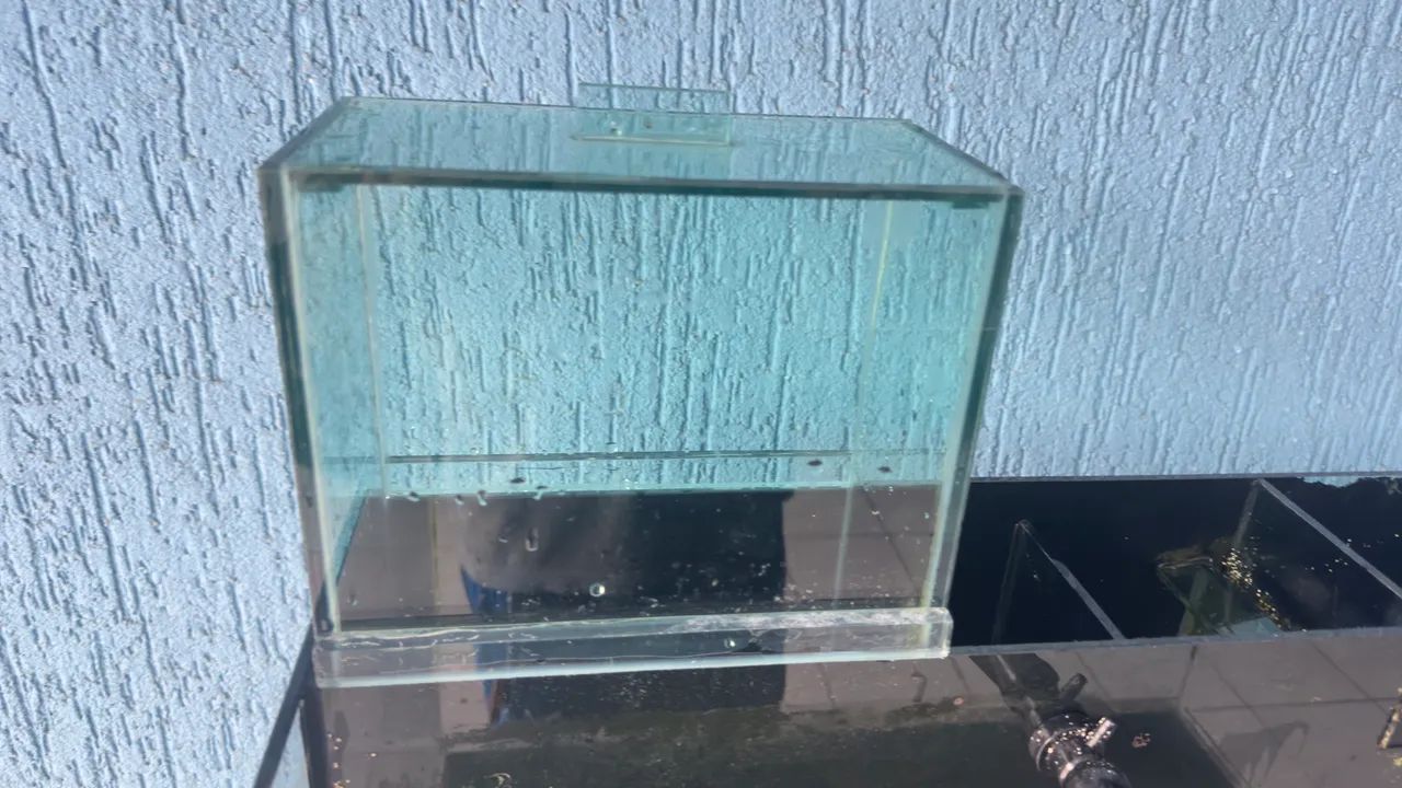 Aquário completo 80l - Foto 2