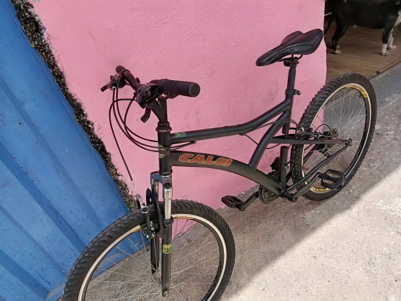 CALOI 26 - Foto 4
