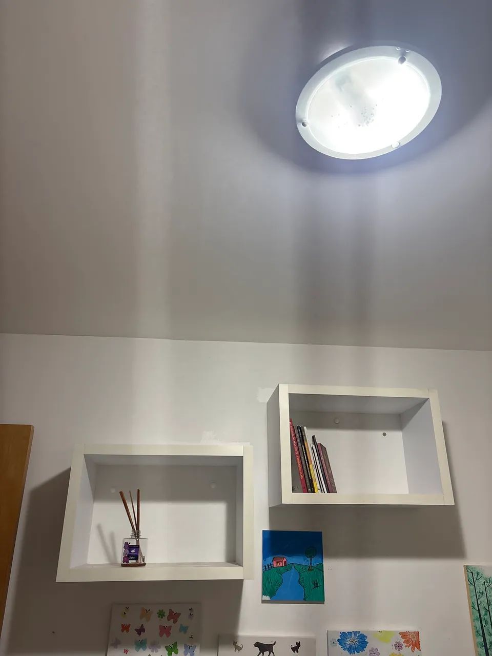 Nicho  - Foto 2