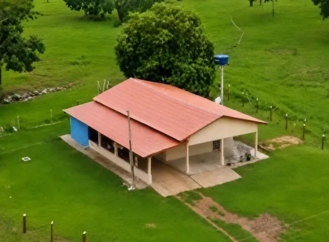Fazenda - Foto 4