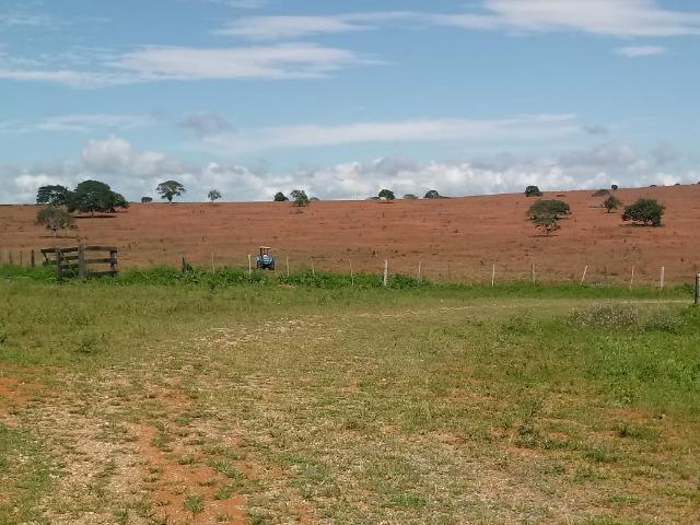 Fazenda 1.940 hectares na Estrada do Manso a 50 km de Cuiabá - Foto 18
