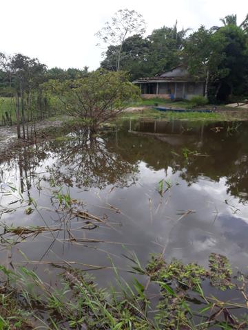 Fazenda