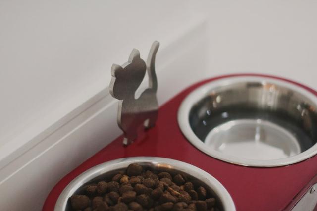 Comedouro para Gatos - Vermelho - Foto 4