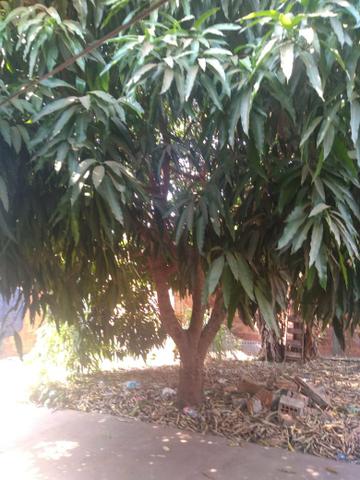 Vende-se: - Foto 2