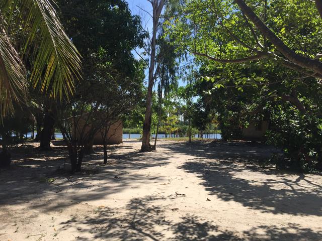 Sitio Ilha de Tapuio Barreirinhas Lencois Maranhenses - Foto 15