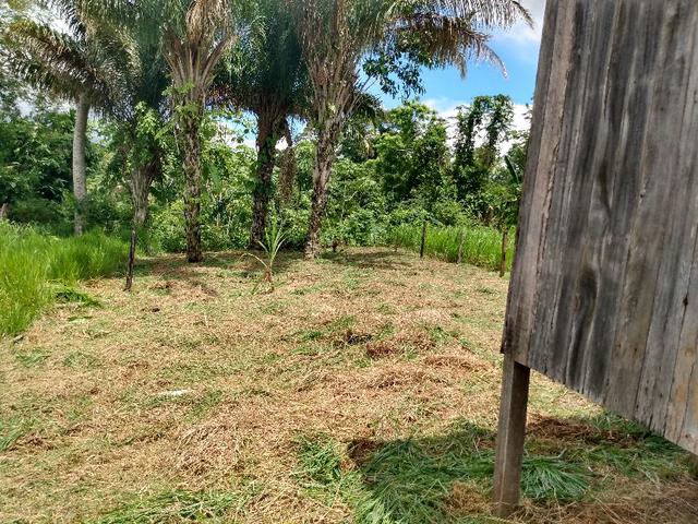 Venda