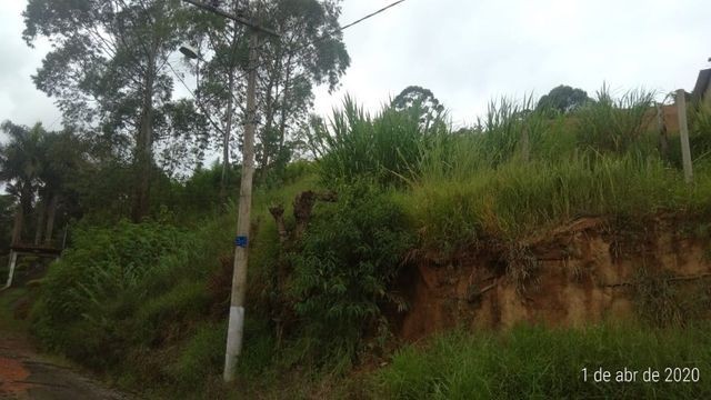 Edinaldo Santos - Grama - terreno 4.000m² exc. localização - Foto 9