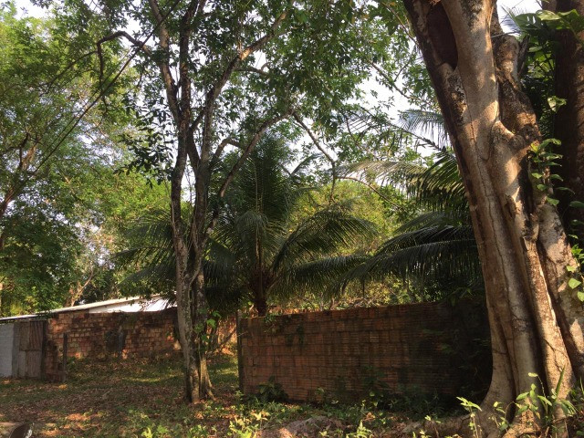 1.200m²/ Terreno/ R$600.000,00 mil/ Flores - Foto 3