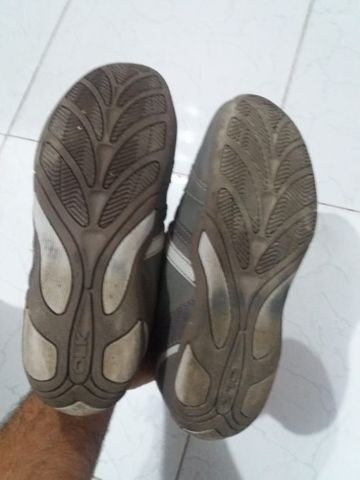 sapatênis olímpicos