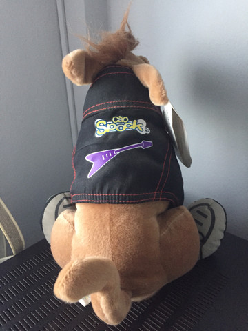 Spock o cão Roqueiro - Foto 4