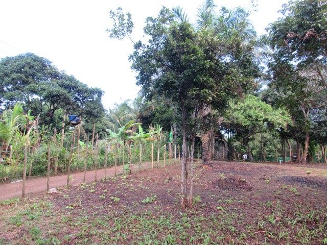 Terreno em Itacaré Bahia - Foto 6