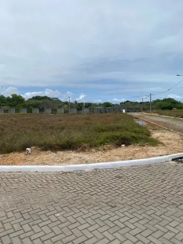 Barra de São Miguel - Ouro Verde Praia  - Foto 13