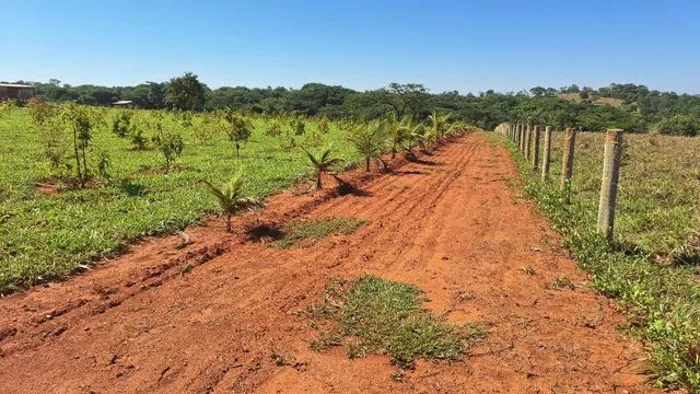 Chácara 25 km de Aparecida de Goiânia. - Foto 2